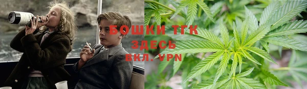 винт Мегион