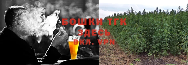 мдпв Инсар
